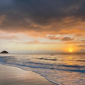 Meet your Posher, Mauriel